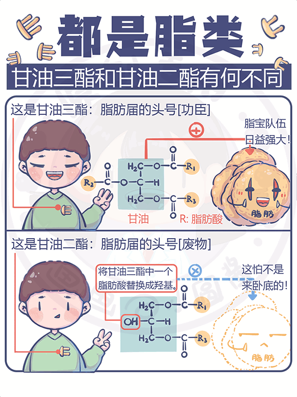 都是脂類甘油三酯和甘油二酯有何不同？